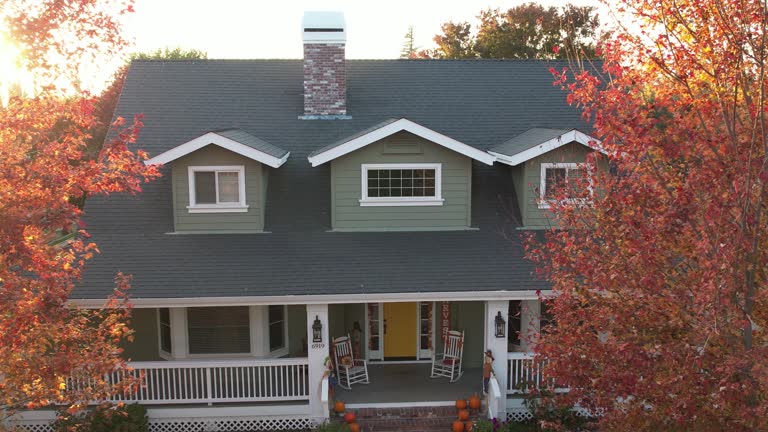 Gutter Replacement in Ford Heights, IL
