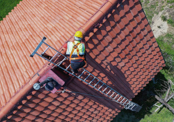 Best Steel Roofing  in Ford Heights, IL