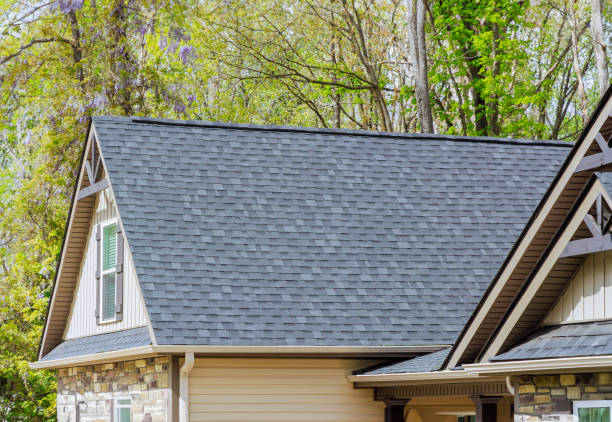 Best Metal Roofing Installation  in Ford Heights, IL